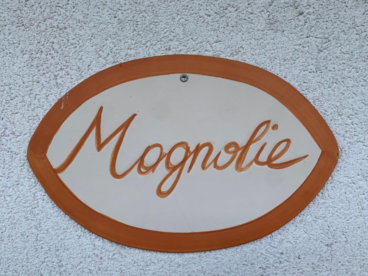 Appartement Holiday Maishofen Dış mekan fotoğraf