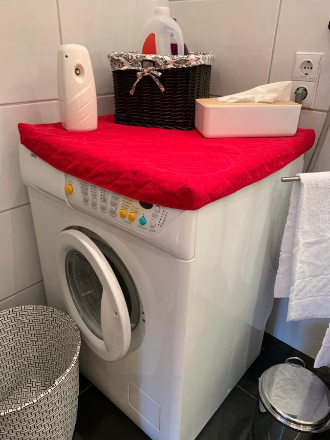 Appartement Holiday Maishofen Dış mekan fotoğraf